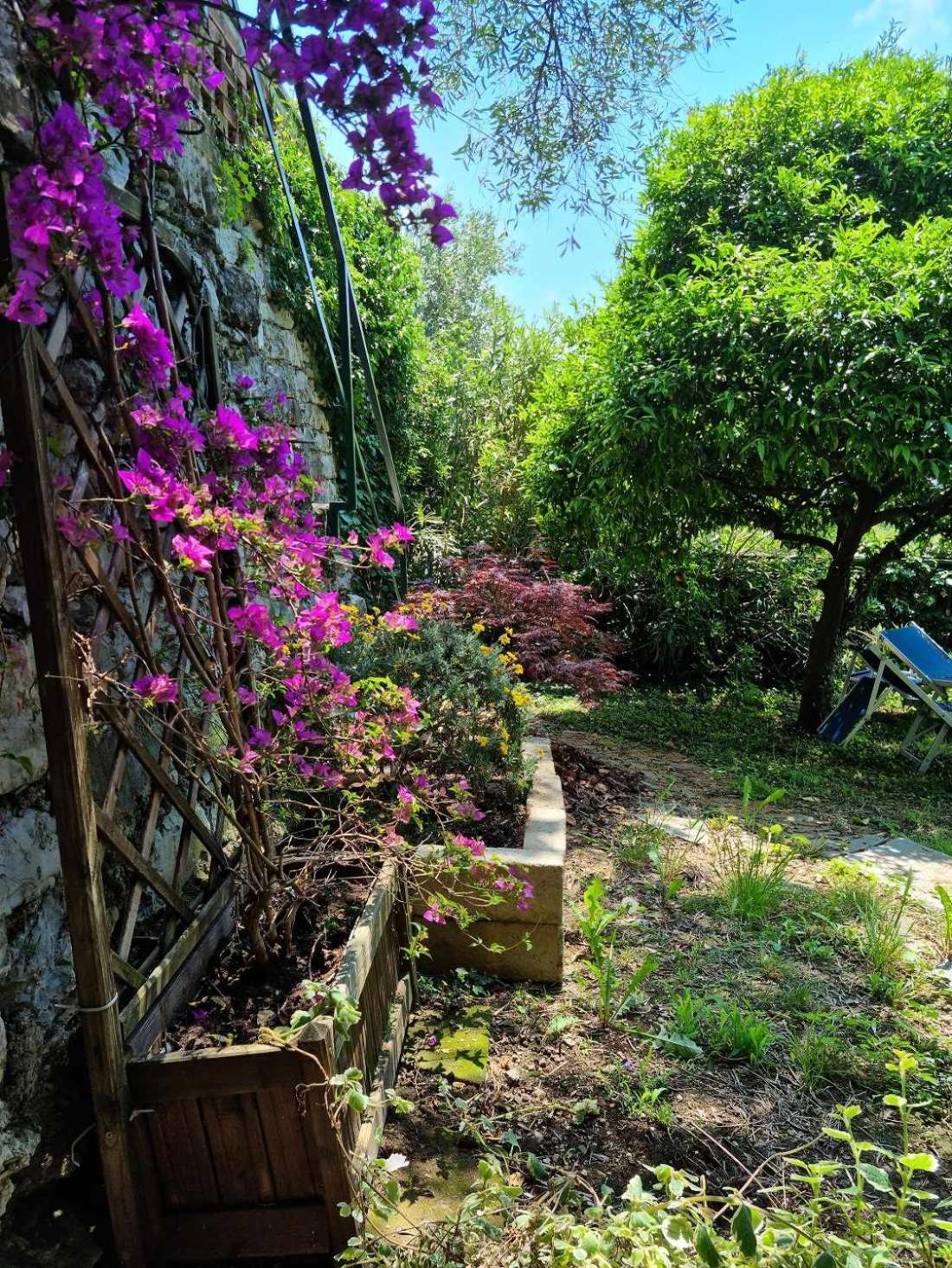 B&B La Terrazza Sui Fieschi Cogorno 客房 照片